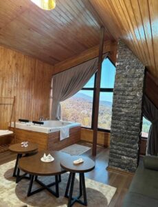 92879b65-1a79-4388-95d4-ff8d8ea6ce1f-1