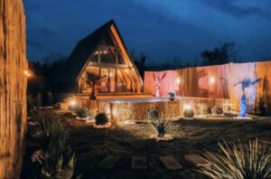 b70b2e60-10f2-4083-a830-21c51c0985bd-2-1